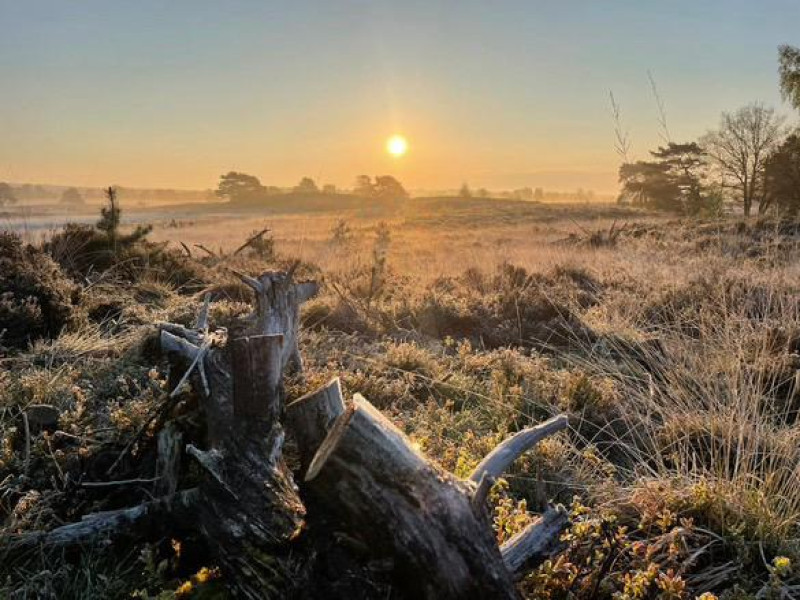 Buiten Beentjes - Ontdek de Natuur