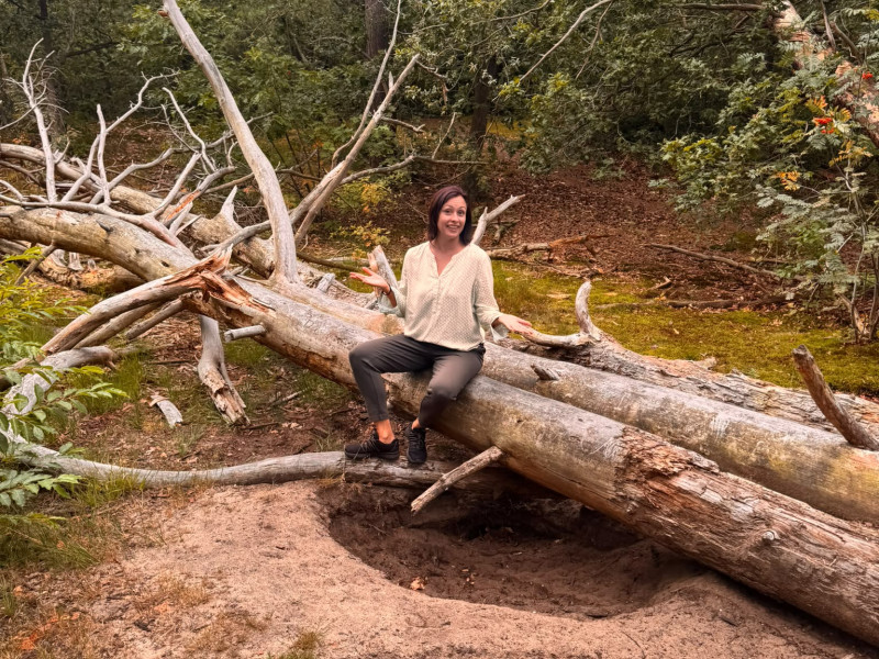 Zelkova voor Healing Body & Mind-Fit