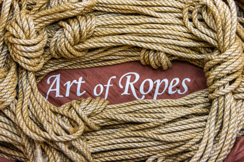 Art of Ropes