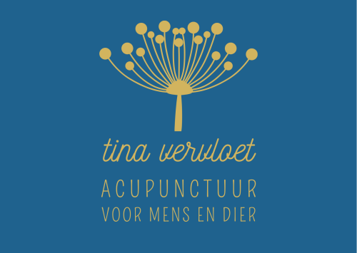 Tina Vervloet