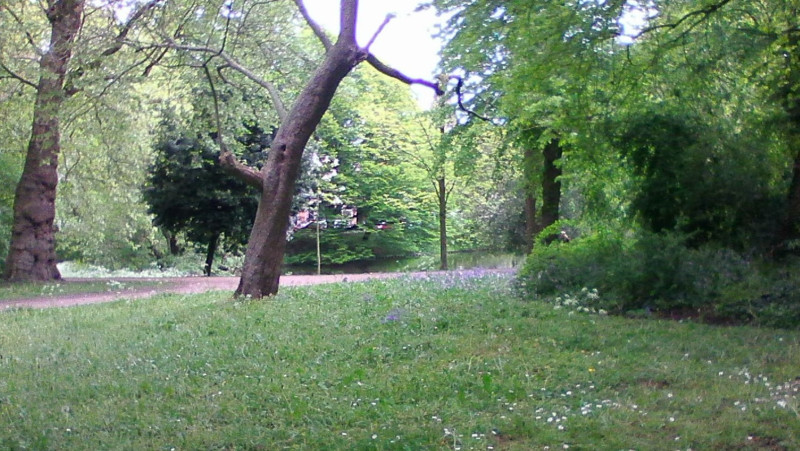 Kleurrijke Klanken