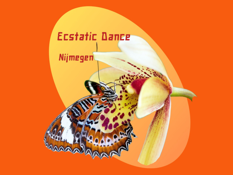 NijmegenDanst.NL