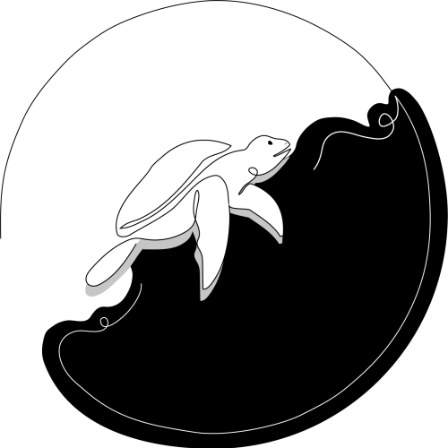 Het pad naar zelfrealisatie | Jungian psychotherapy