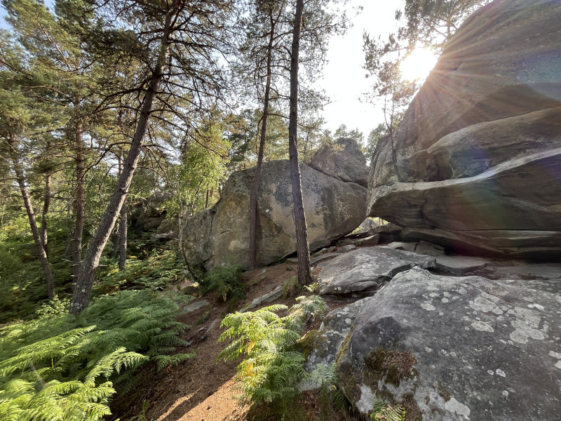 Michel ◭ Basecamp