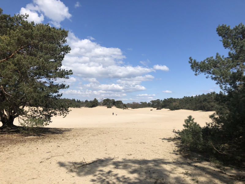 Mantracirkel Soesterduinen
