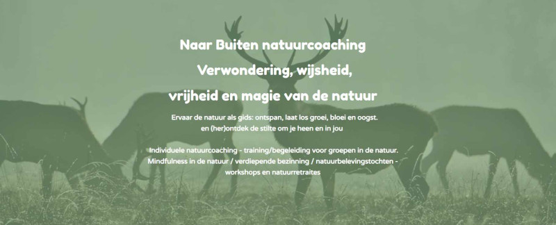 Naar buitennatuurcoaching