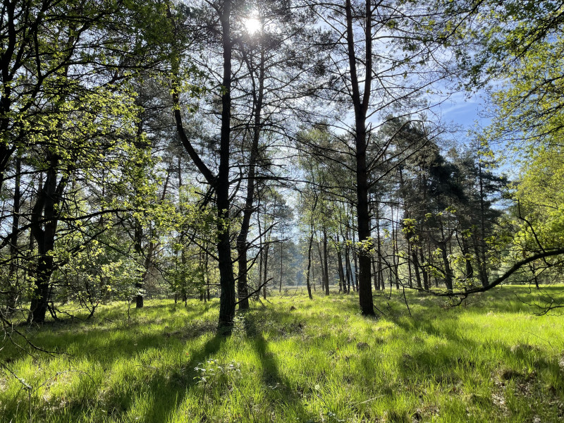 Bosflow.nl
