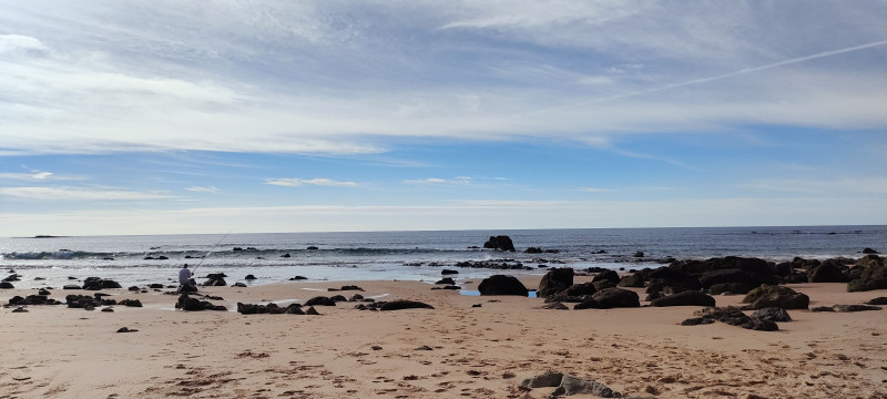 Yogarve