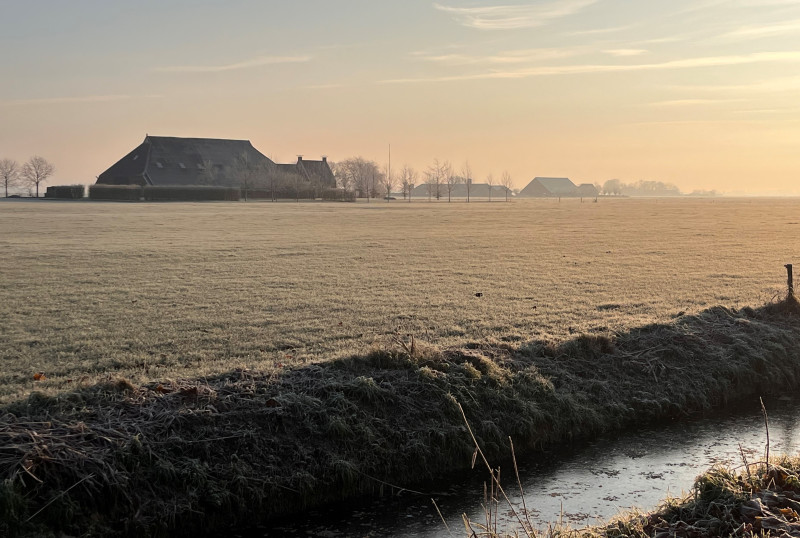 MariekesMood