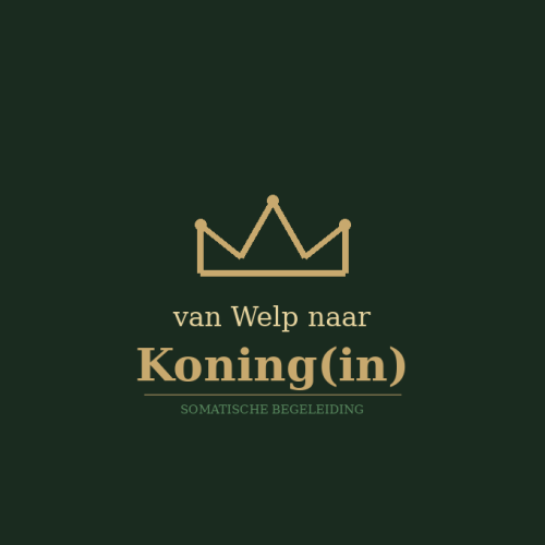 Mathieu Van Driessche - van Welp naar Koning