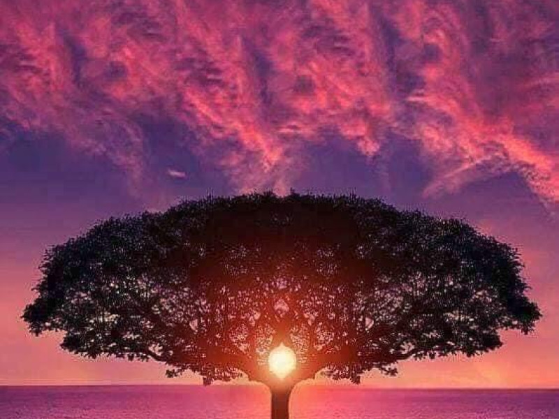 Amarah Gaia