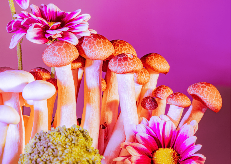 Microdosing with Lya