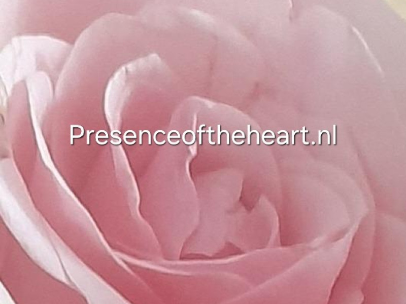 Presence of the Heart