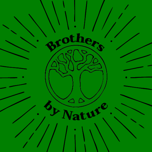 Brothers by Nature