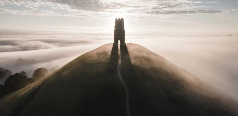 The Conscious Field