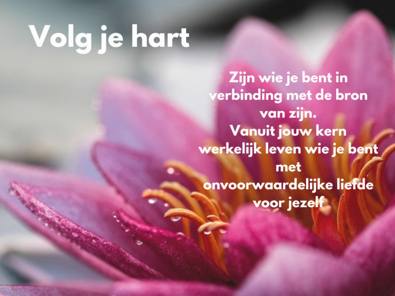Bronkracht.nu