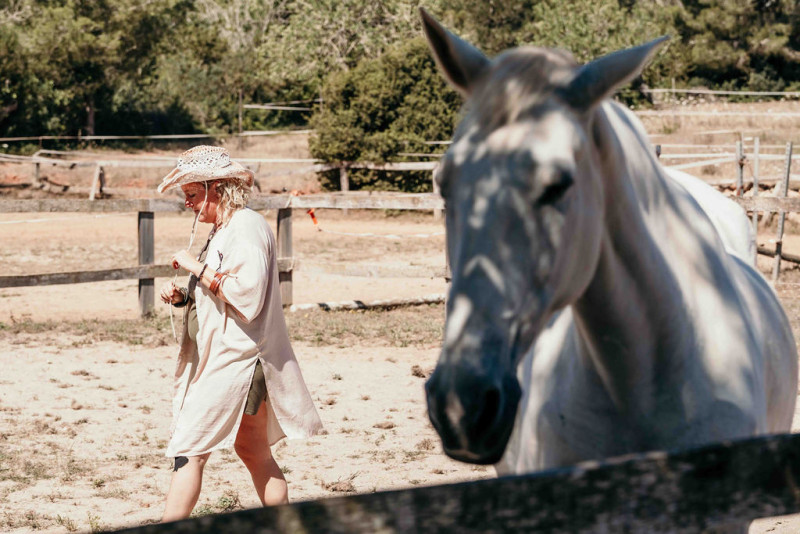 Horse Medicine Ibiza