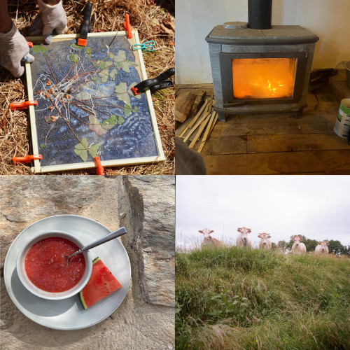 HARVEST-workshops