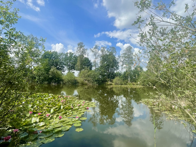 Natuurkampeerterrein Klein Schoor