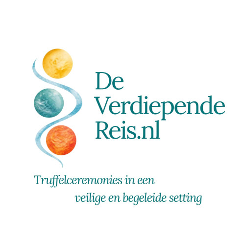 De Verdiepende Reis