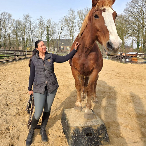 Skye-lijn Stables