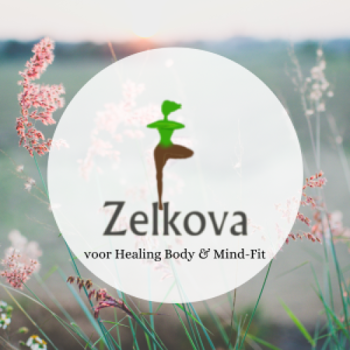 Zelkova voor Healing Body & Mind-Fit