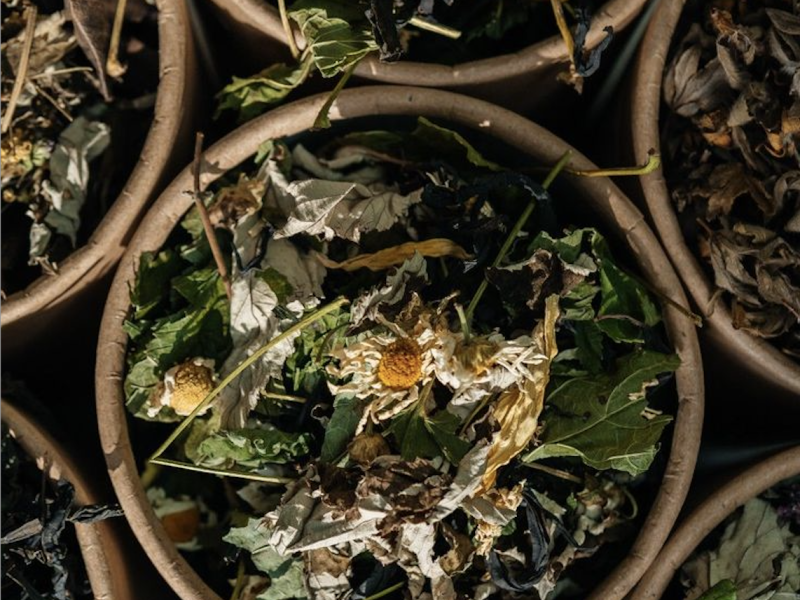 the Chamomile Collective