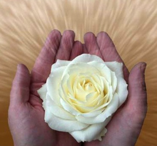 Praktijk De Witte Roos