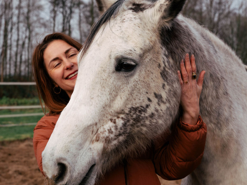 Paardenzacht