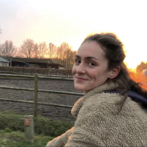 Iris van de Wetering
