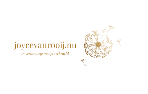 joycevanrooij.nu