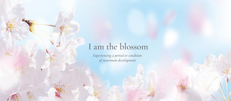 blossomYou - Marieke Steegh