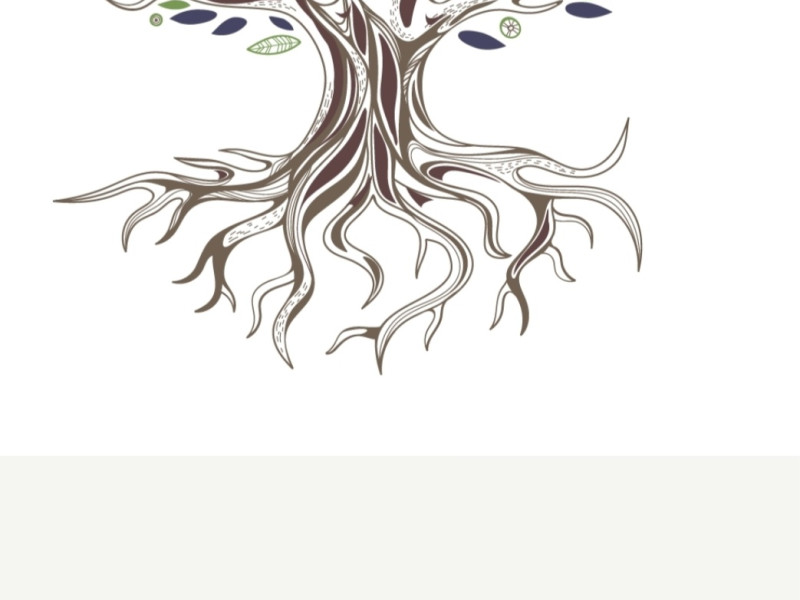 Zhineng Qigong Flevoland