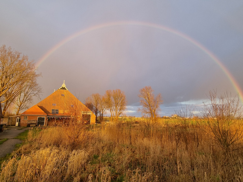 De Bloeipleats | Stichting Ecodorp Friesland
