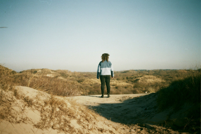 The Wild Way