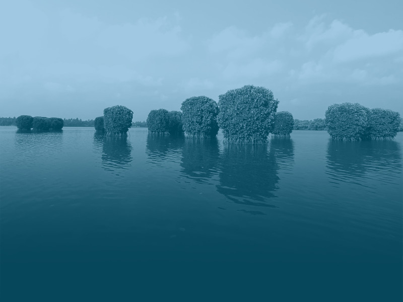 Undercurrent Coaching