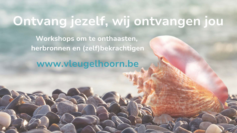Centrum Vleugelhoorn in Velm (B)