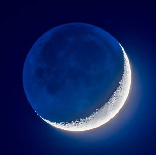 The Moon Journey
