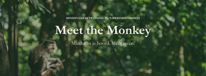 Meet the Monkey