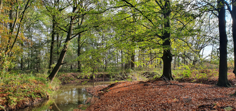 Ontmoet de Natuur