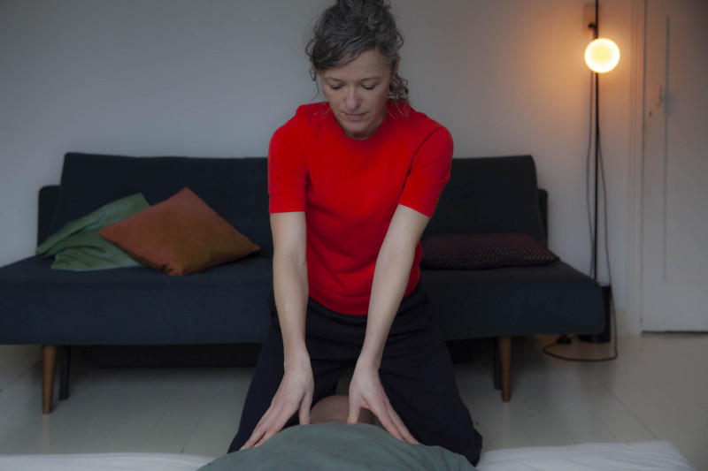 shiatsu  d u e n d e