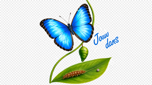 Jouw dans