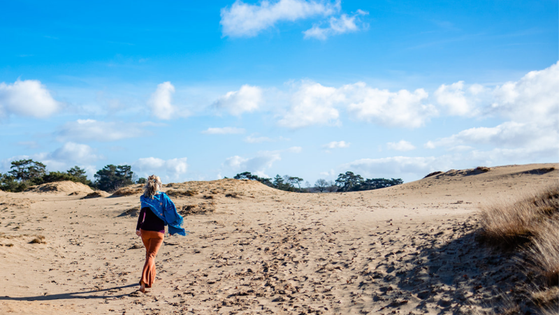 The Flow of Life & Natuurlijk Detoxen