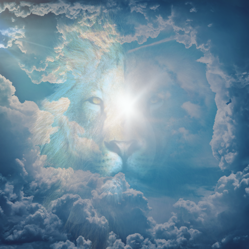 Inner Source Abundance