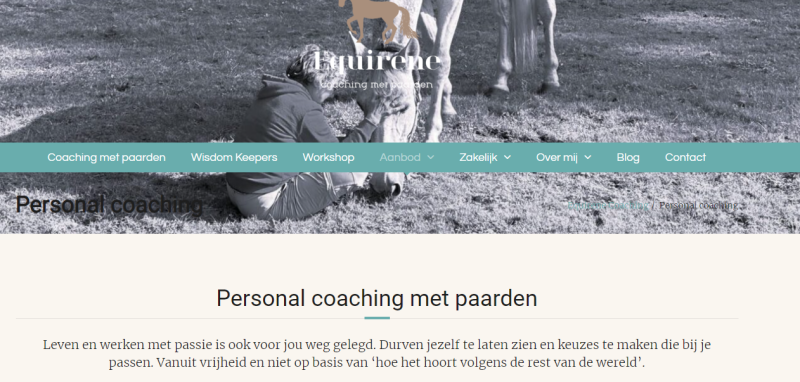 Equirene Coaching