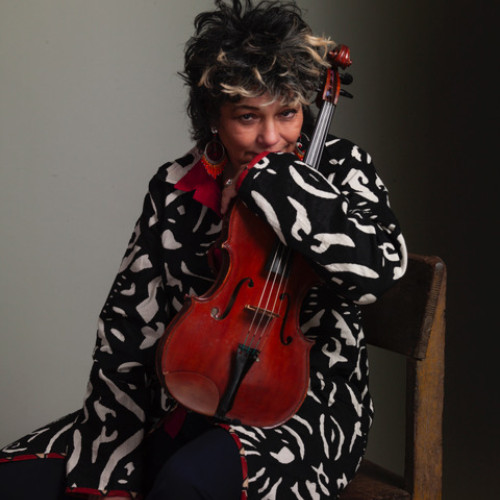 Stichting Viola Viola