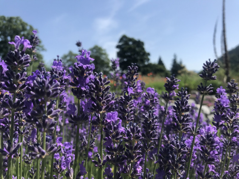 Nourishing Retreats