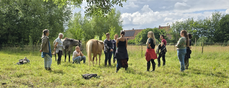 Holistic Healthcare by Riet - Riet Plevoets