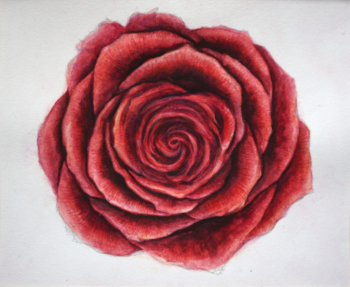 Rose Garden Events