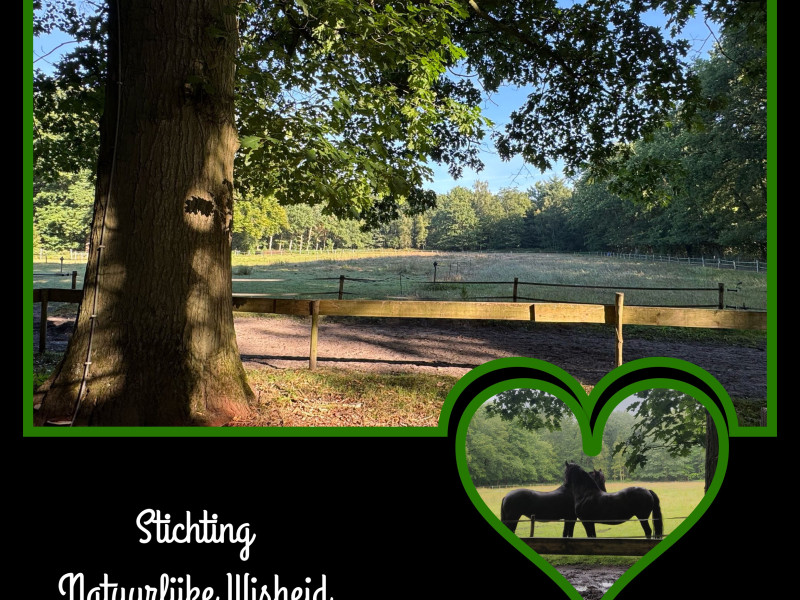 Stichting Natuurlijke Wijsheid